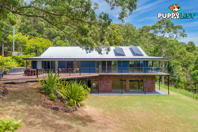 9 Elimbah Court Lower Beechmont QLD 4211