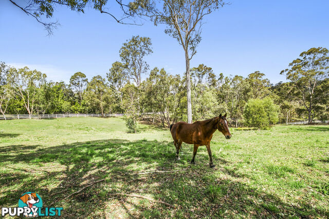 126 Country Crescent NERANG QLD 4211