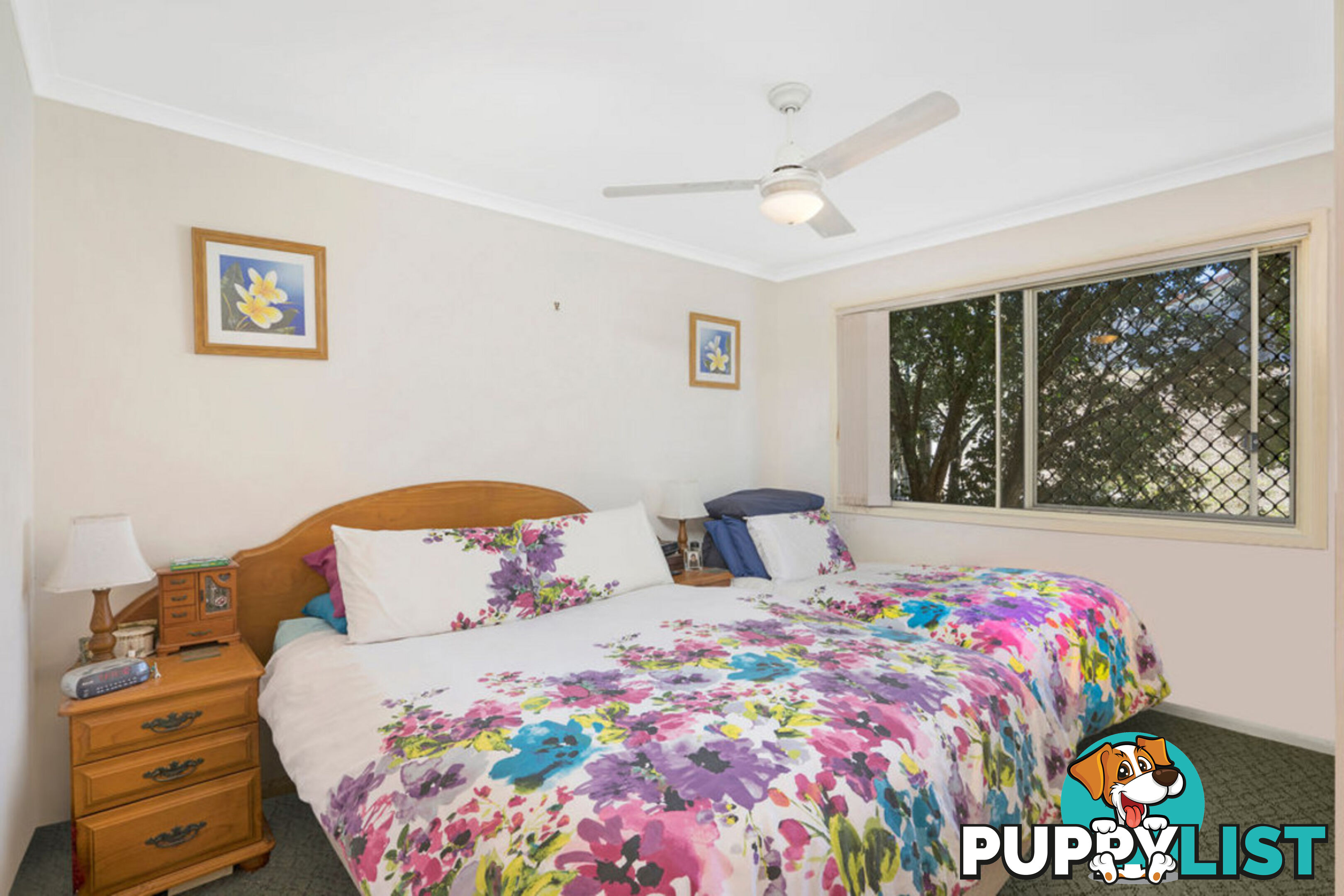 15 Bards Court NERANG QLD 4211