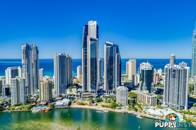 1463/9 Ferny Avenue SURFERS PARADISE QLD 4217