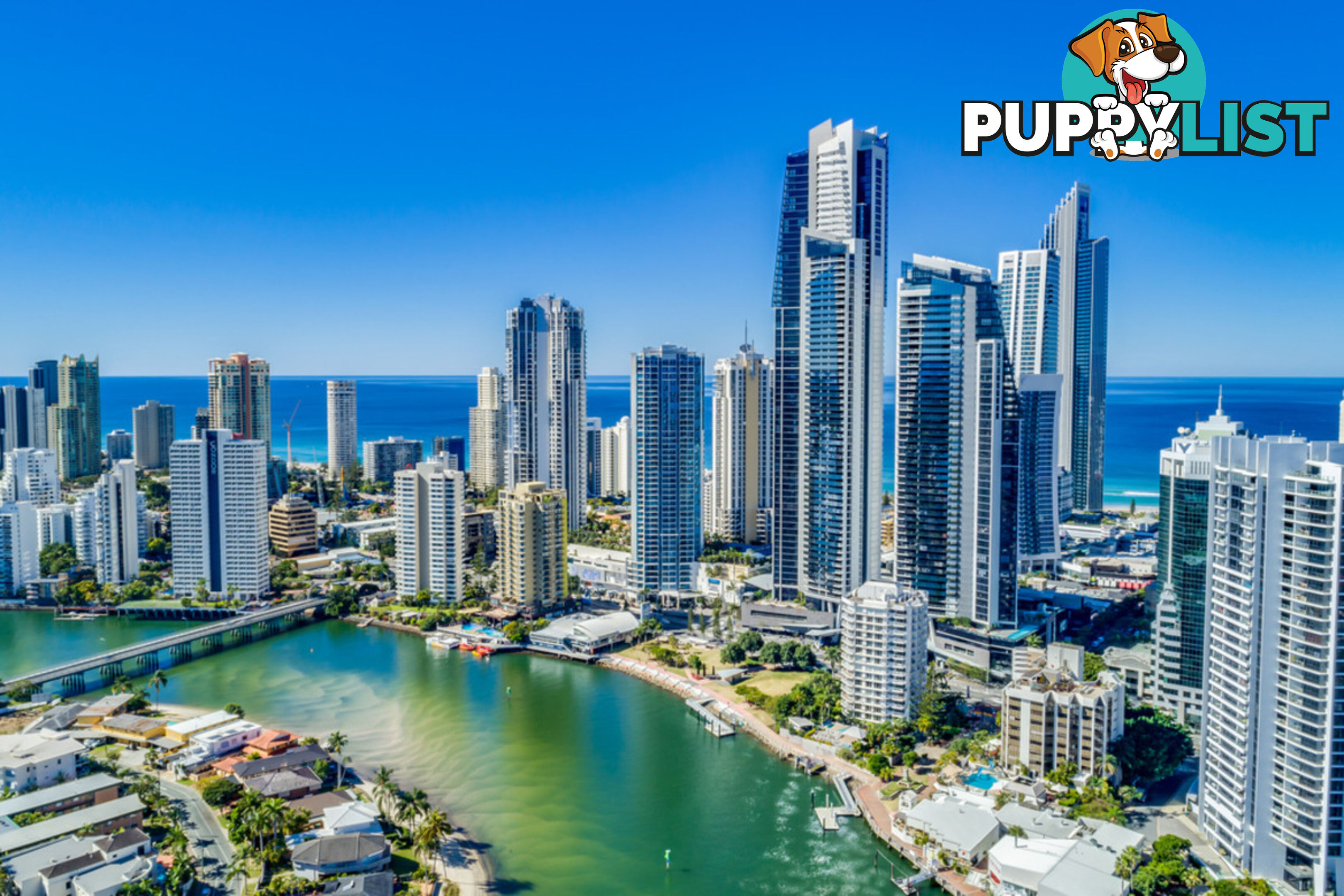 1463/9 Ferny Avenue SURFERS PARADISE QLD 4217