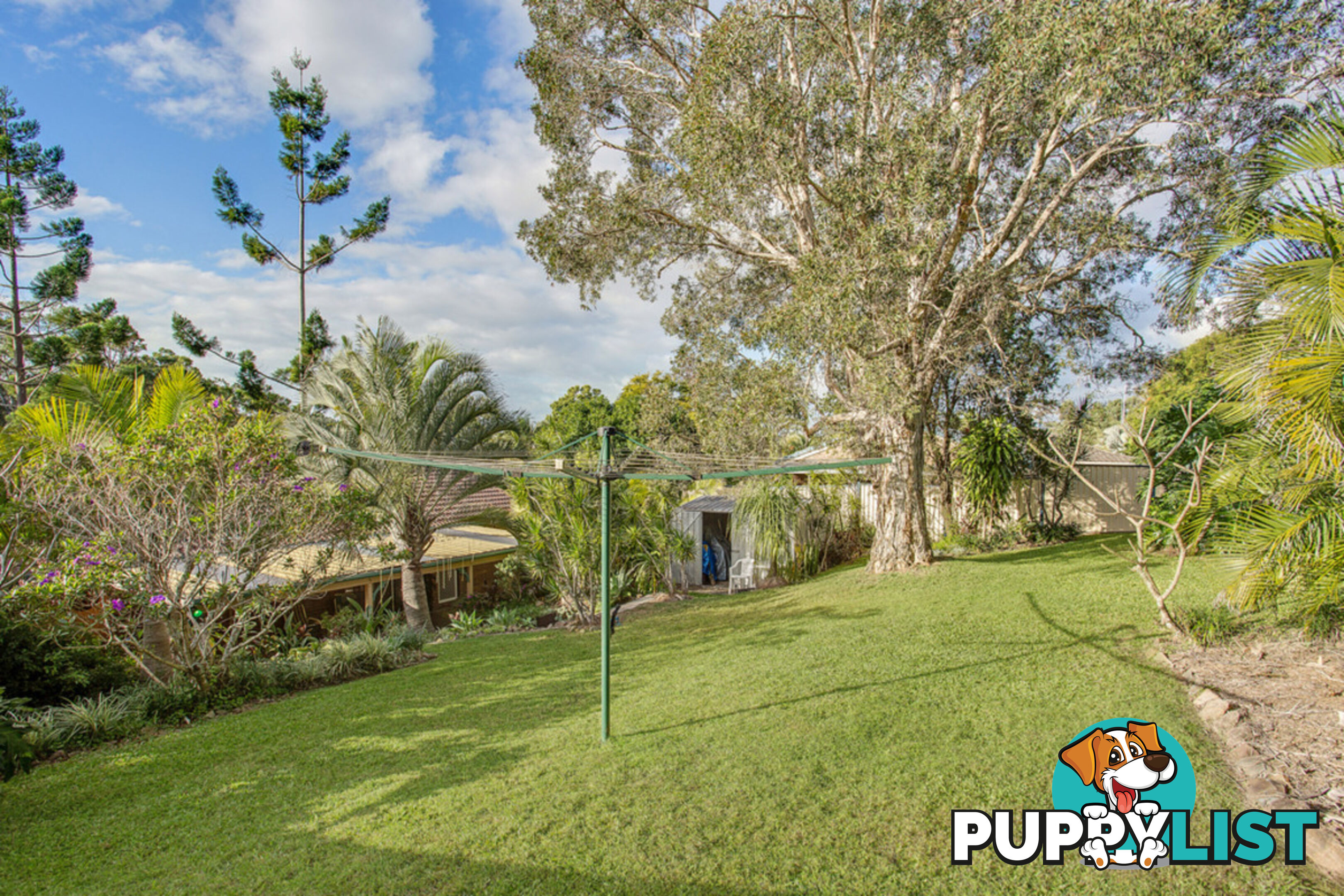 5 Buring Court HIGHLAND PARK QLD 4211