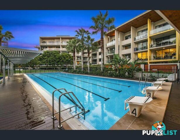 10/154 Musgrave Avenue SOUTHPORT QLD 4215