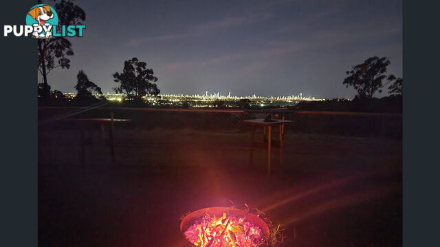 GILSTON QLD 4211
