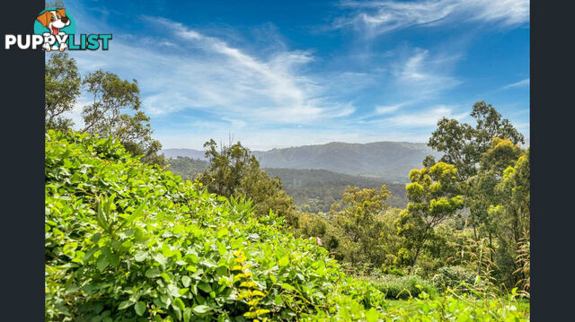 GILSTON QLD 4211