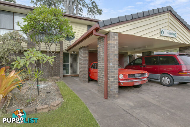 7 Camelia 67 Nerang Street NERANG QLD 4211