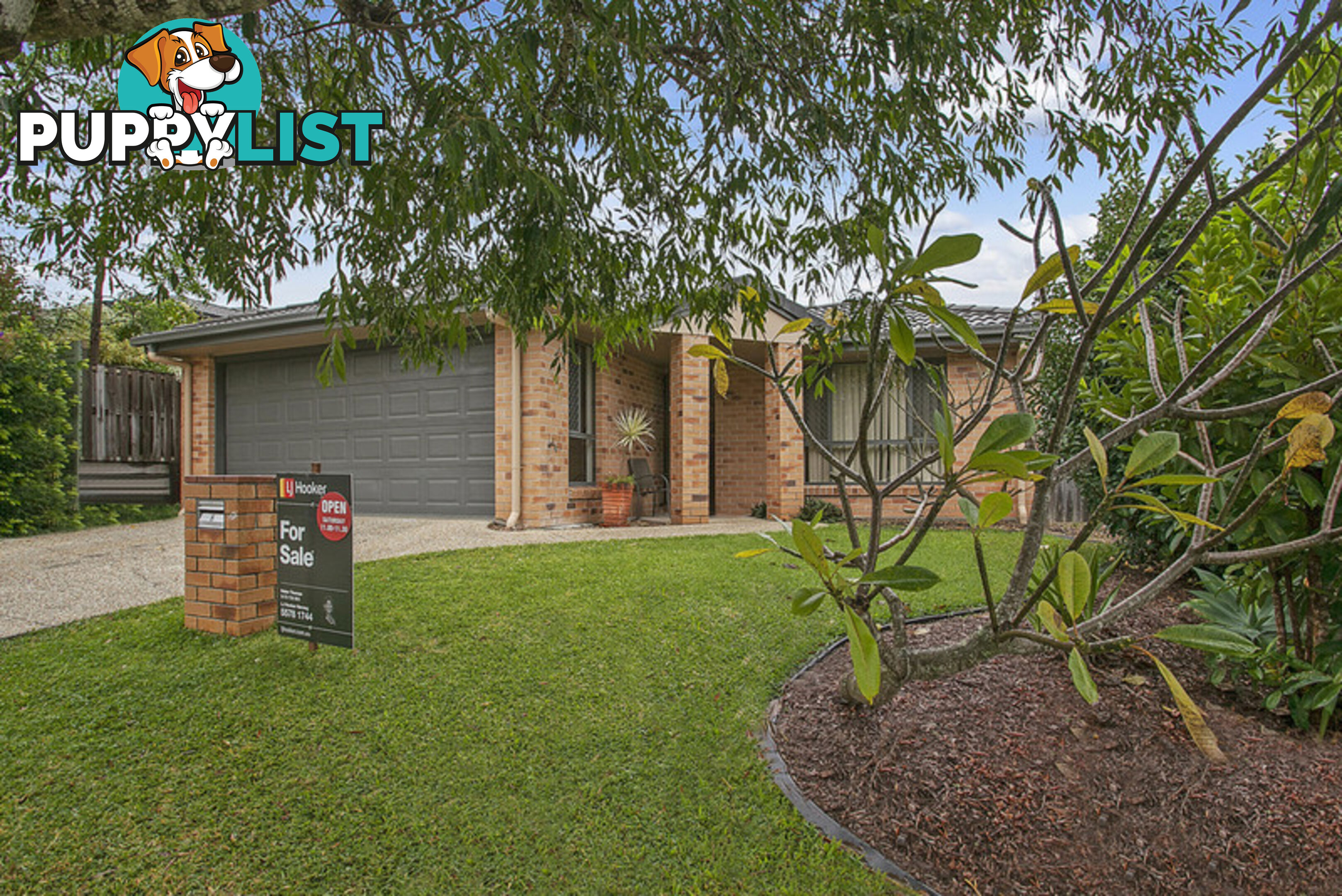 8 Marlee Jayne Close NERANG QLD 4211