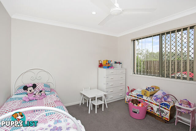 8 Marlee Jayne Close NERANG QLD 4211