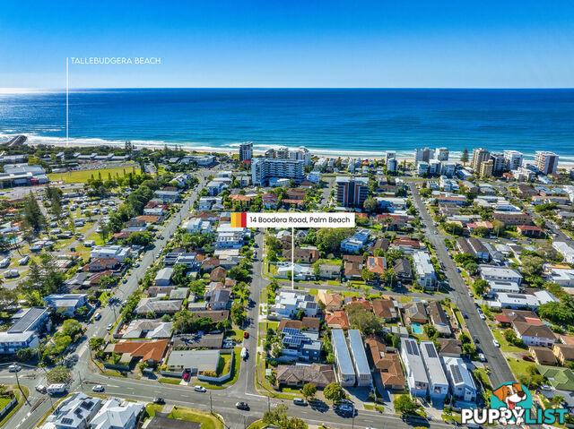14 Boodera Road PALM BEACH QLD 4221