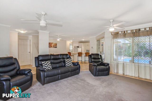 149 Dugandan Street NERANG QLD 4211