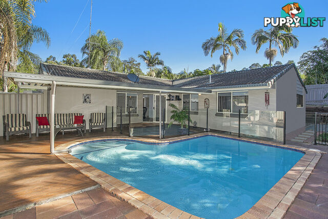 149 Dugandan Street NERANG QLD 4211