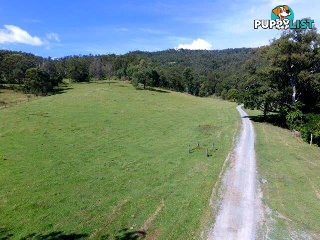 211 Lamington National Park Road Canungra QLD 4275