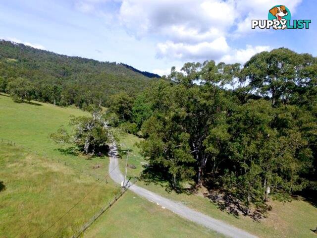 211 Lamington National Park Road Canungra QLD 4275