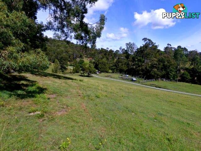 211 Lamington National Park Road Canungra QLD 4275