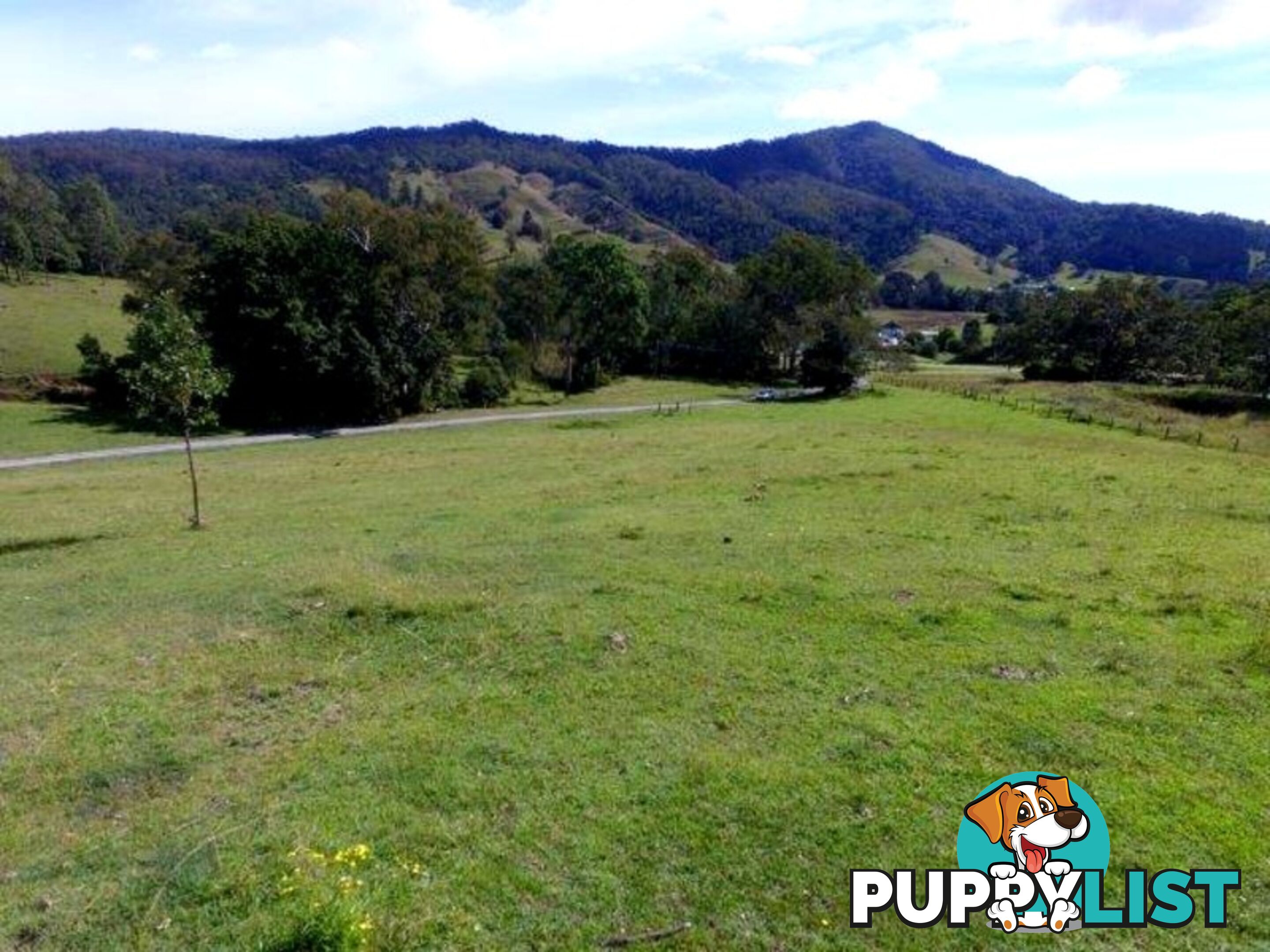 211 Lamington National Park Road Canungra QLD 4275