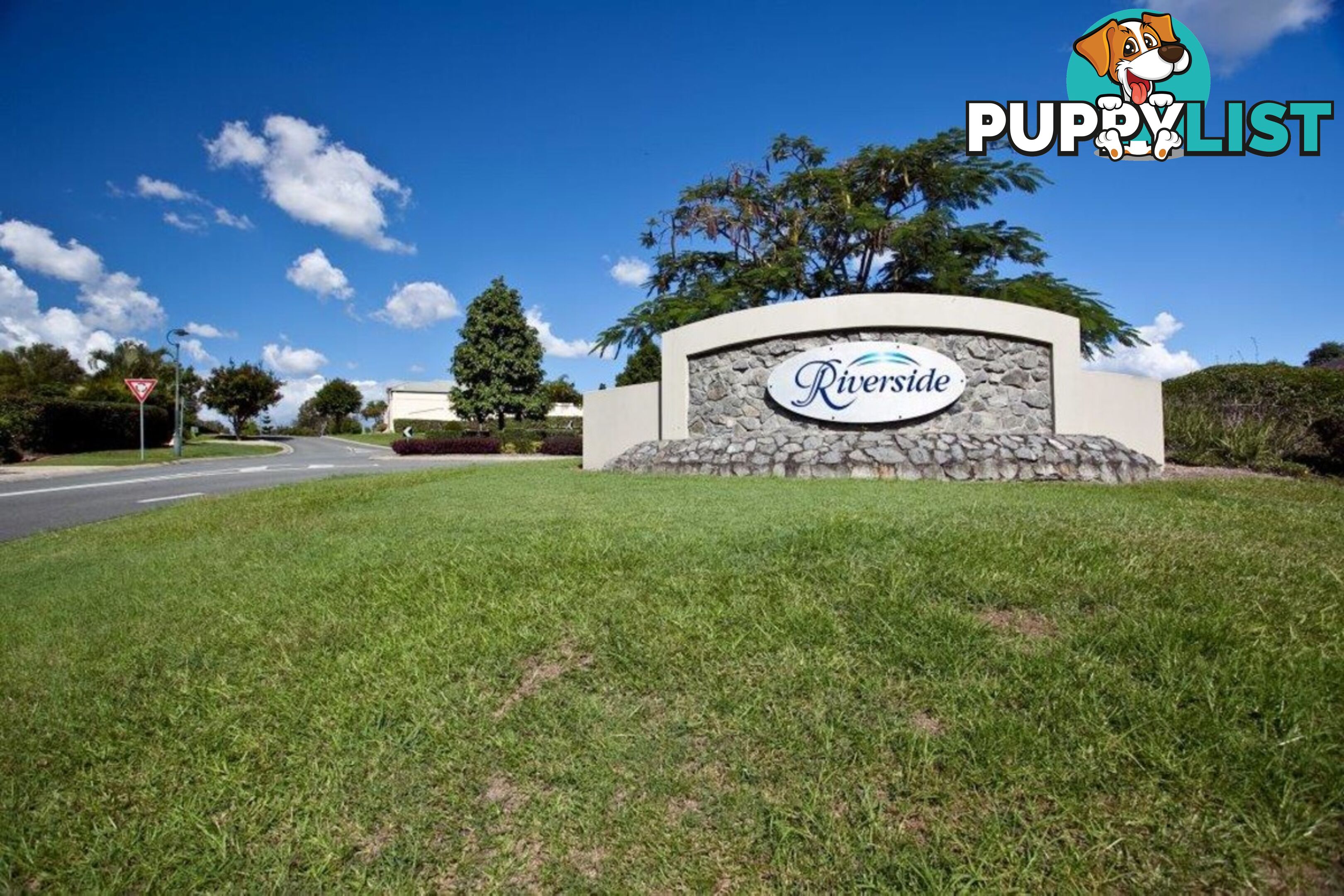 13 Rhiannon Drive ASHMORE QLD 4214