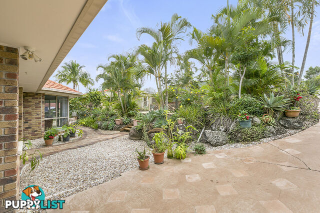 381 Worongary Road Tallai QLD 4213