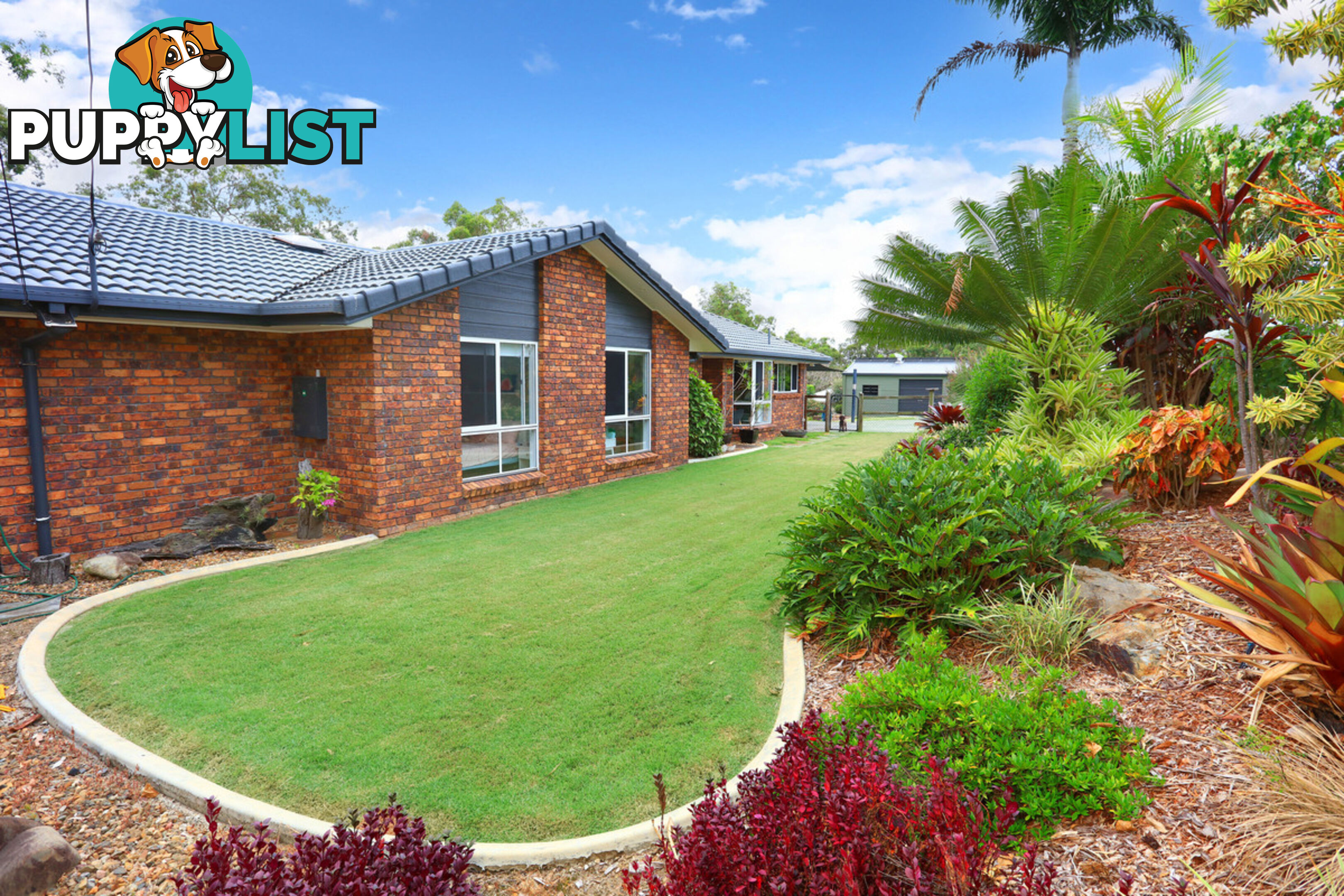 8 Crocus Way GAVEN QLD 4211