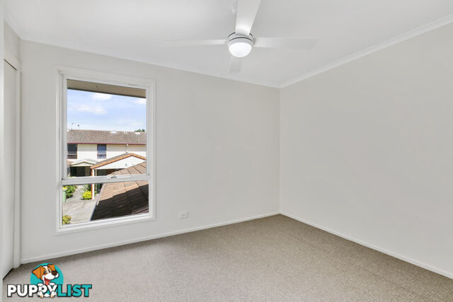 13 Palm 67 Nerang Street NERANG QLD 4211