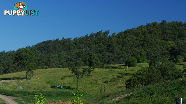 Lot 82/ Montego Hills Drive KINGSHOLME QLD 4208