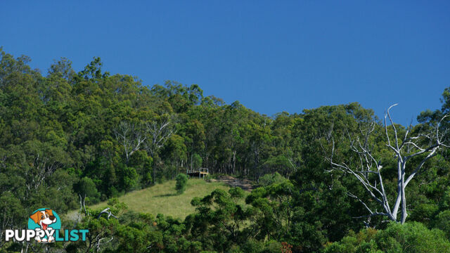 Lot 82/ Montego Hills Drive KINGSHOLME QLD 4208