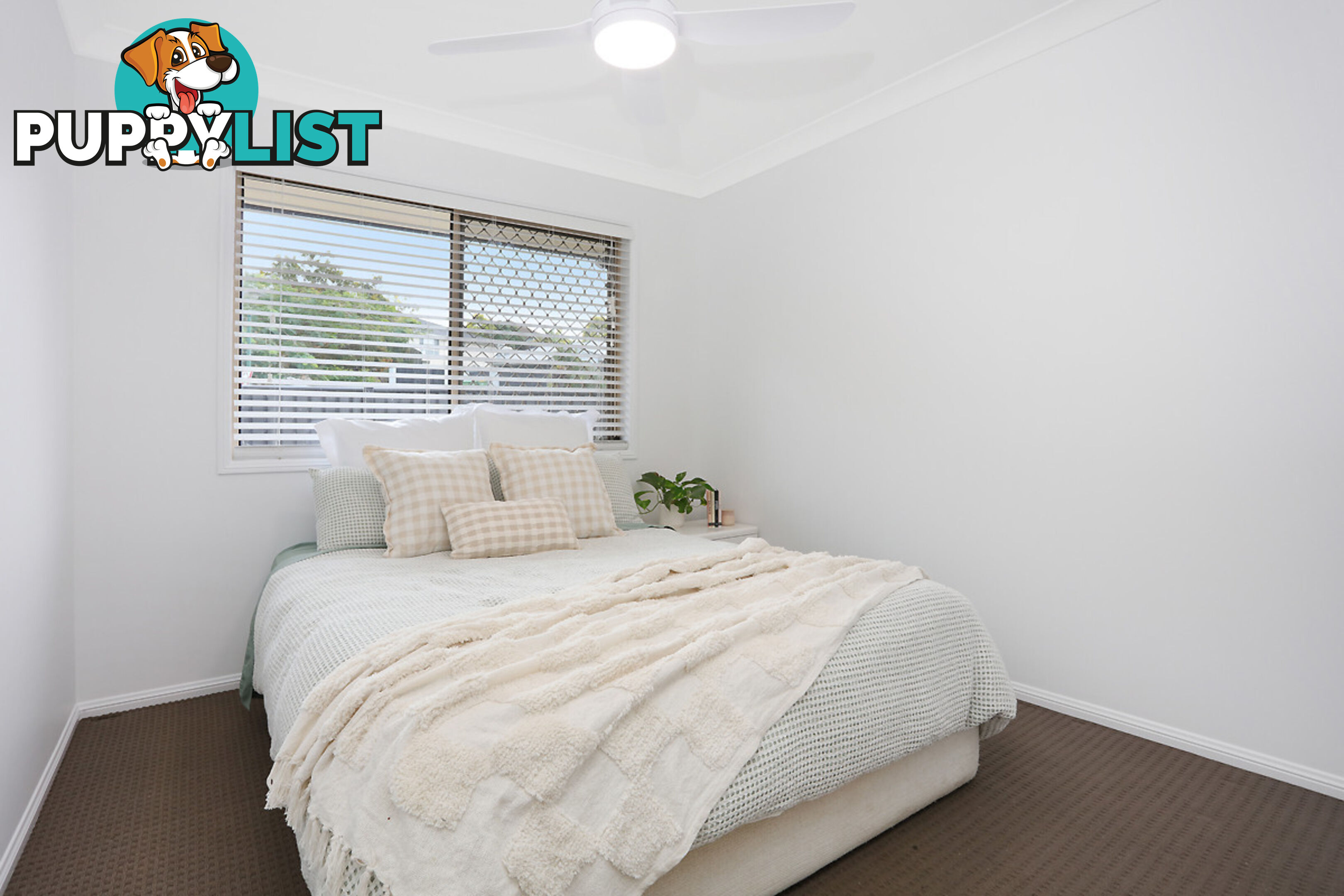 1/11 Gannon Way UPPER COOMERA QLD 4209