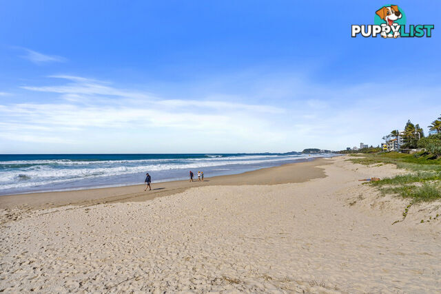 9/38-46 Petrel Avenue MERMAID BEACH QLD 4218