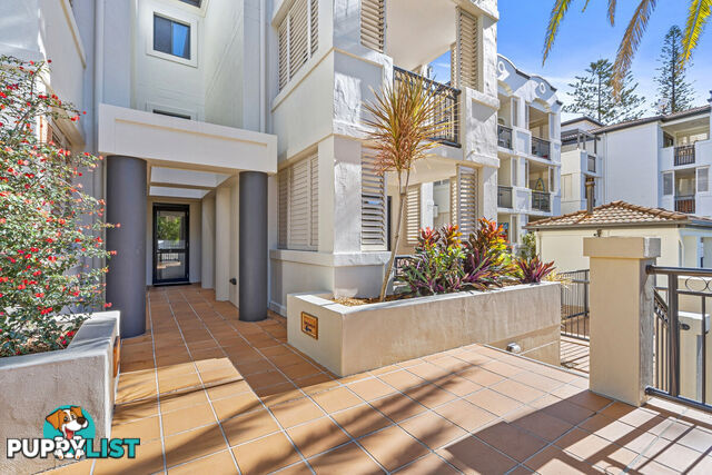 9/38-46 Petrel Avenue MERMAID BEACH QLD 4218