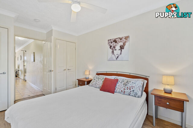 9/38-46 Petrel Avenue MERMAID BEACH QLD 4218