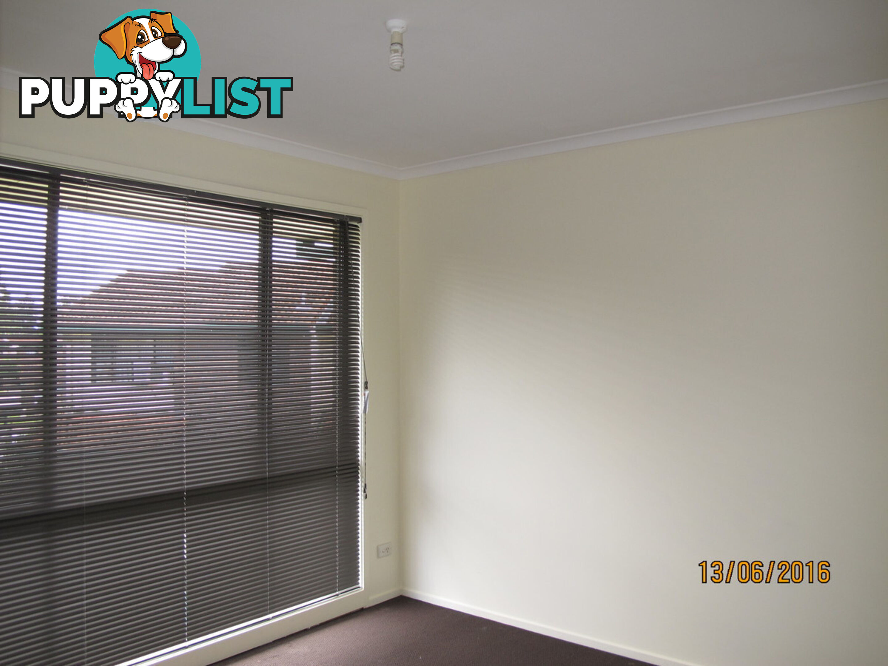 2 Hibiscus 67 Nerang Street NERANG QLD 4211