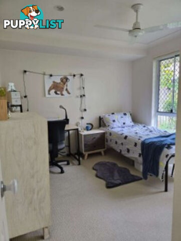 18/11 Eden Court NERANG QLD 4211