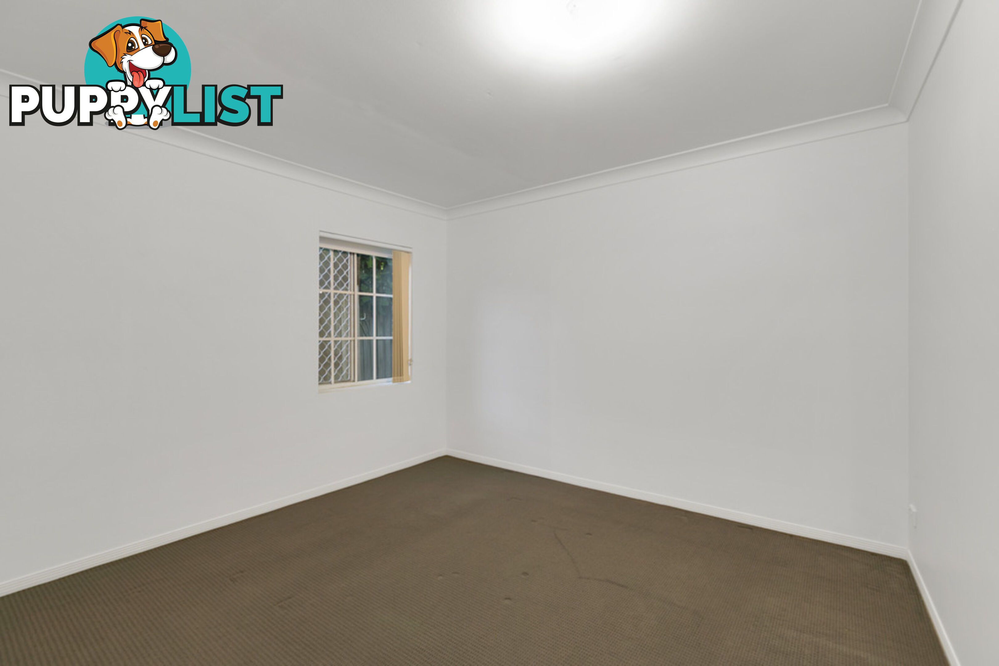 16 Kallaroo Crescent ASHMORE QLD 4214