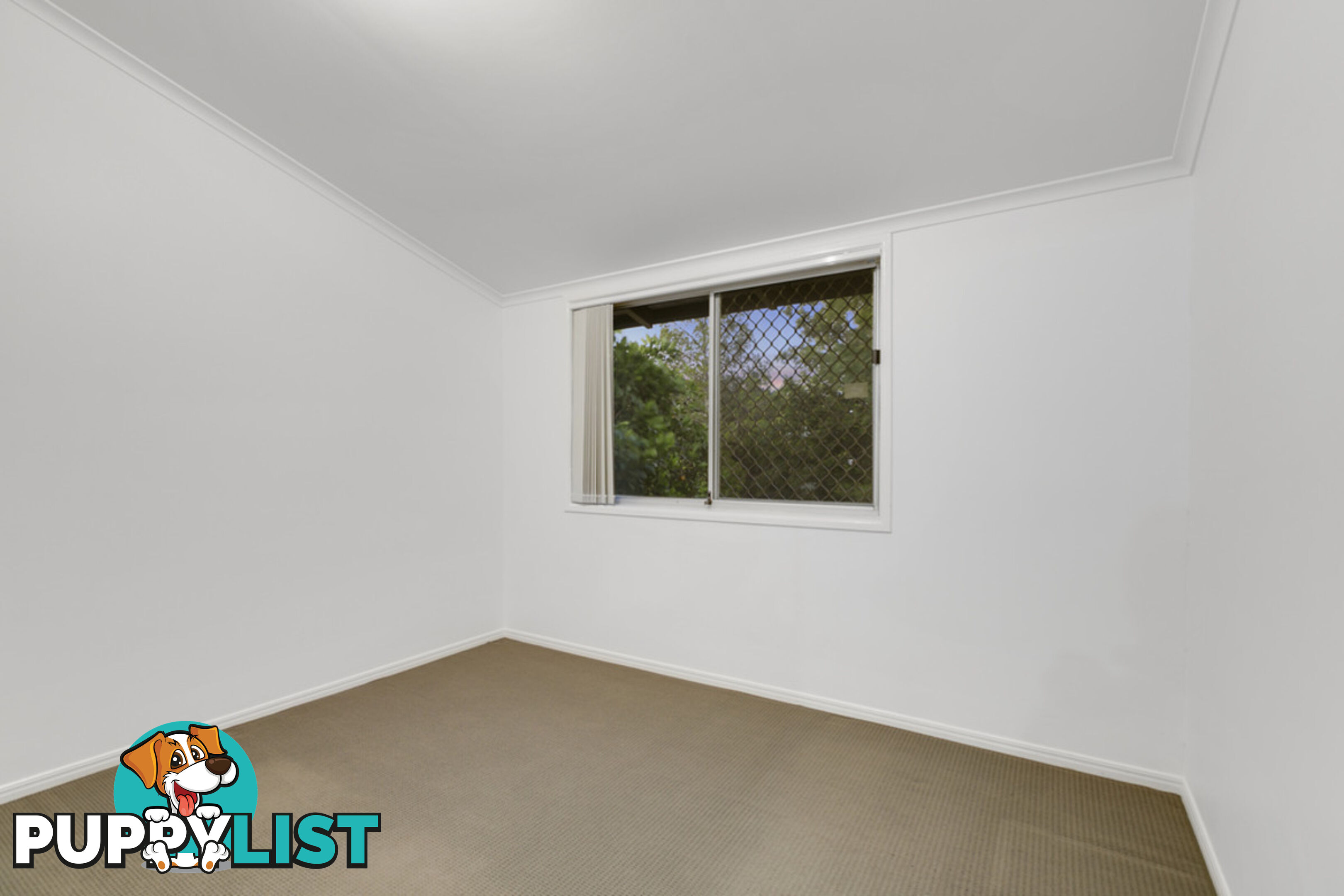 16 Kallaroo Crescent ASHMORE QLD 4214