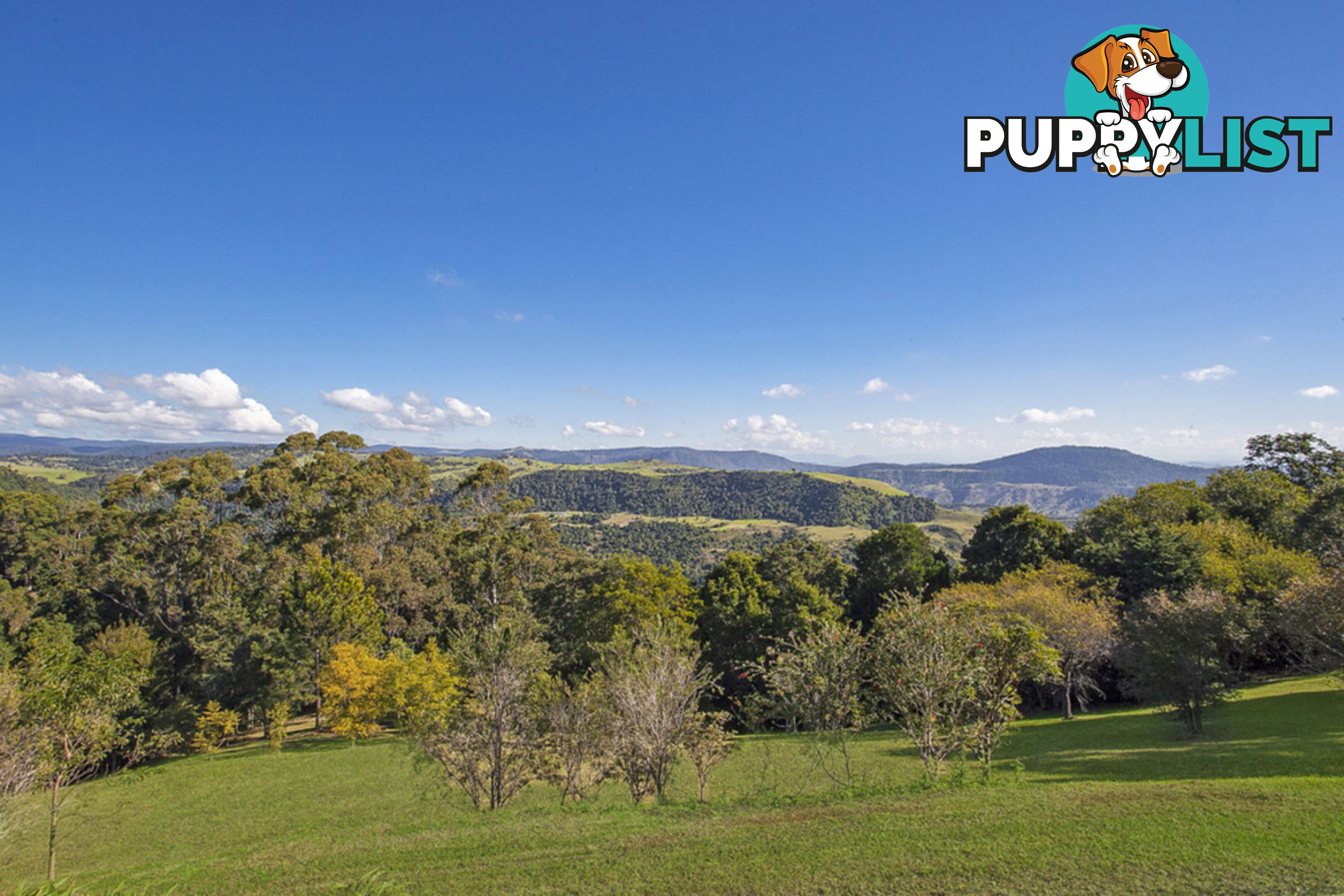 2179 Beechmont Road BEECHMONT QLD 4211