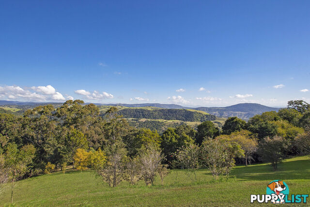 2179 Beechmont Road BEECHMONT QLD 4211