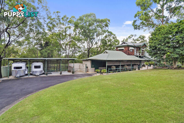 59 Billabirra Crescent NERANG QLD 4211