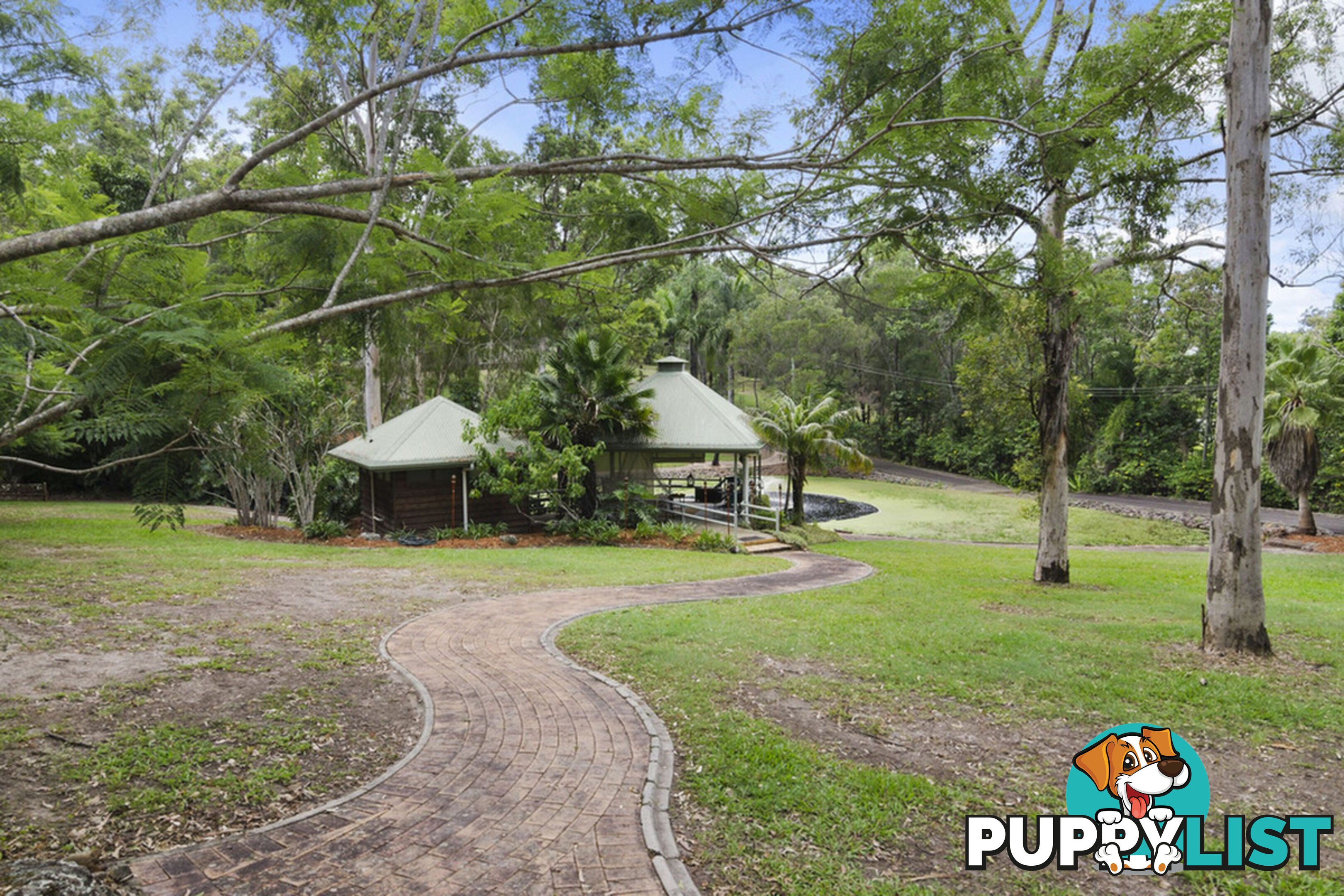 59 Billabirra Crescent NERANG QLD 4211