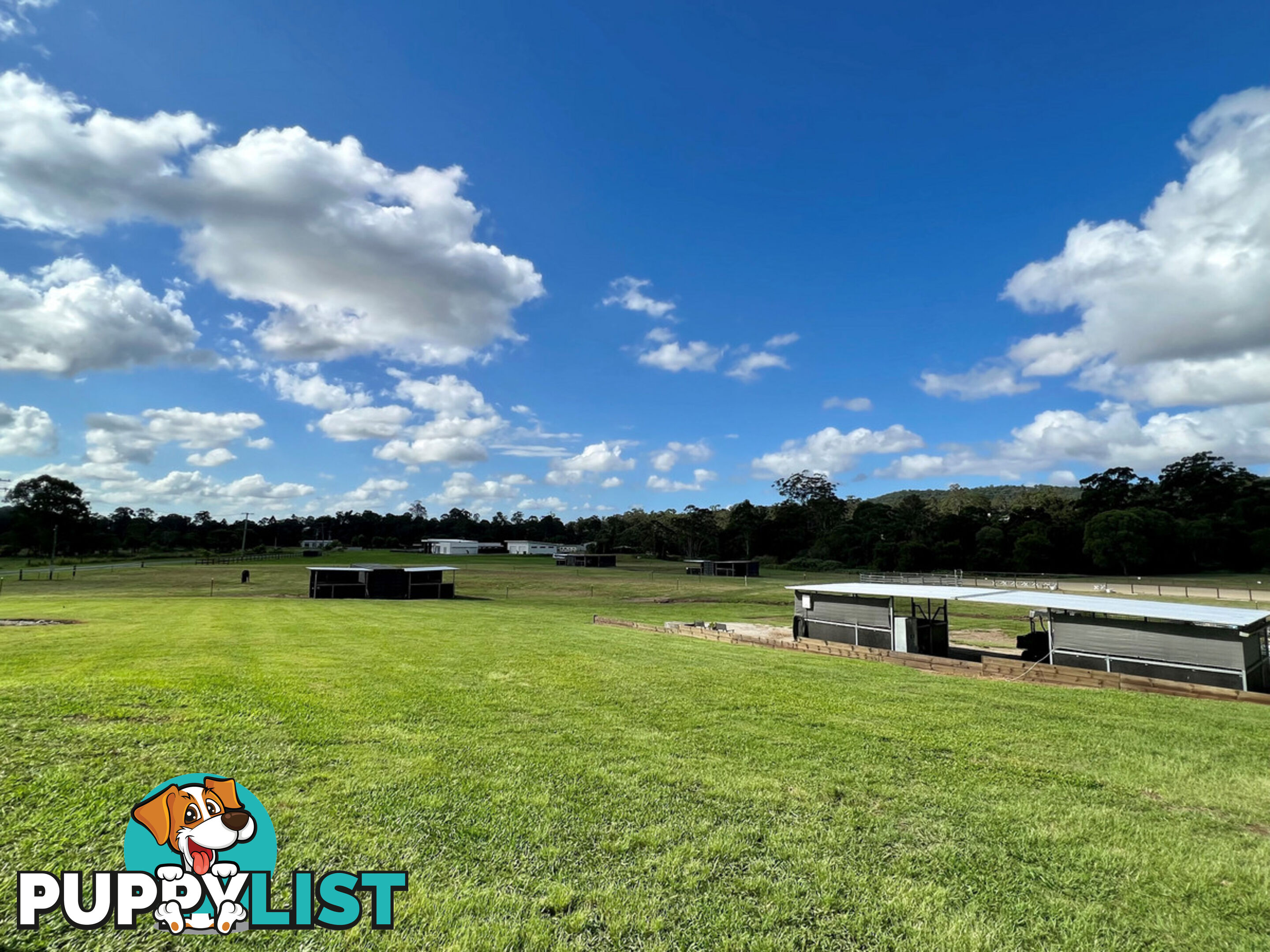 42 Equestrian Drive MAUDSLAND QLD 4210