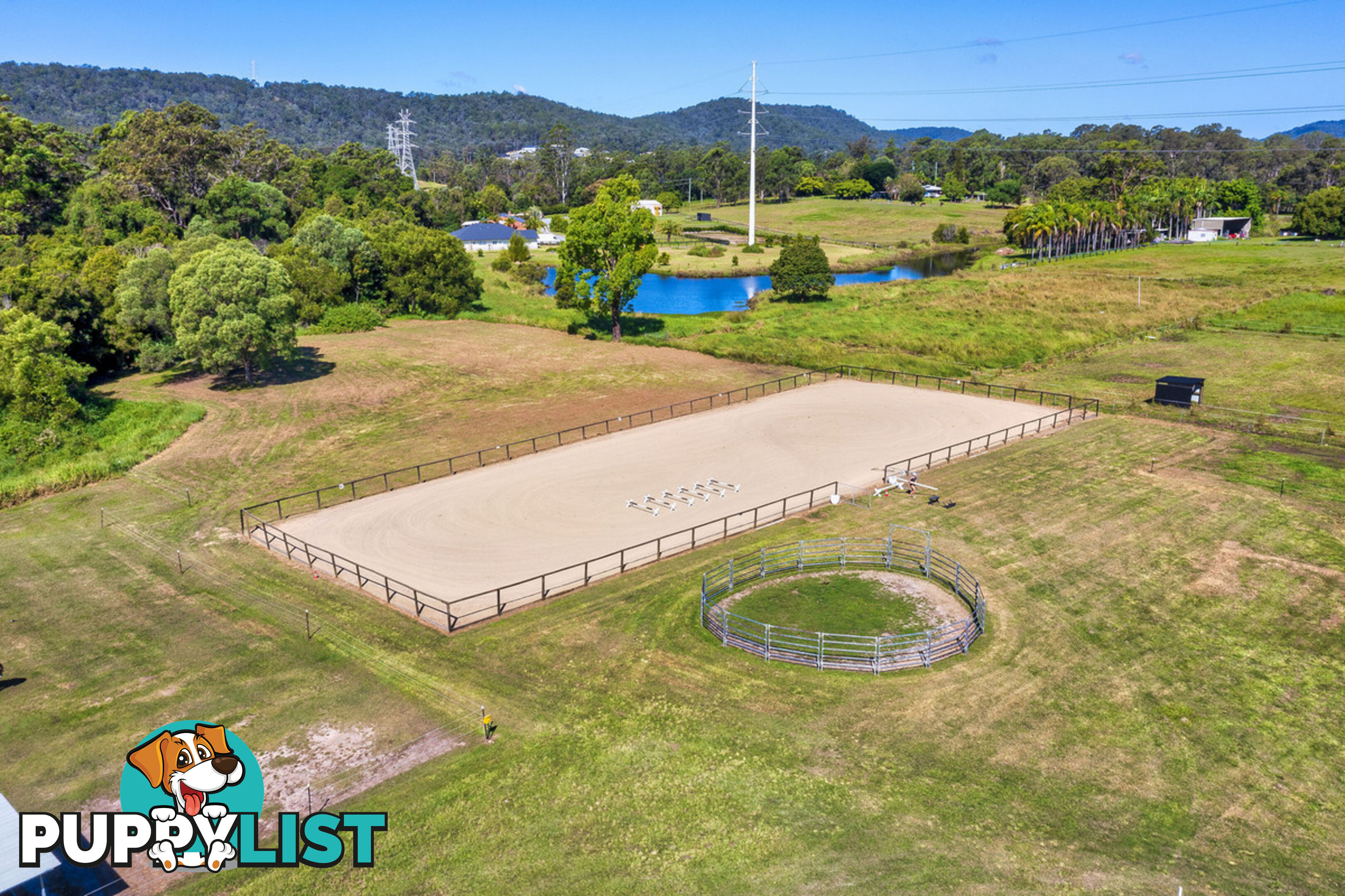 42 Equestrian Drive MAUDSLAND QLD 4210