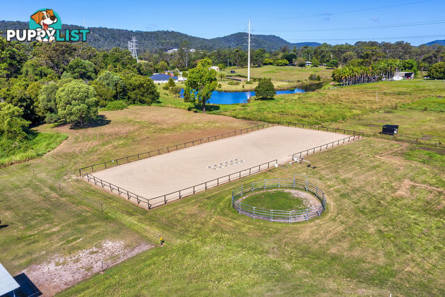 42 Equestrian Drive MAUDSLAND QLD 4210