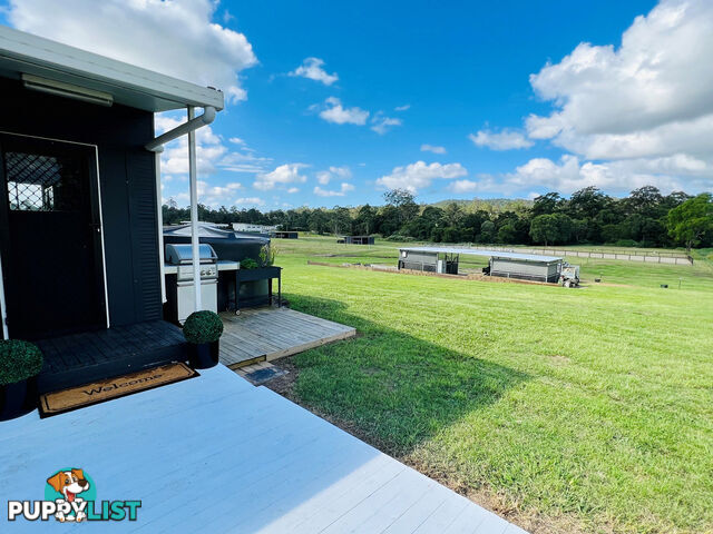 42 Equestrian Drive MAUDSLAND QLD 4210