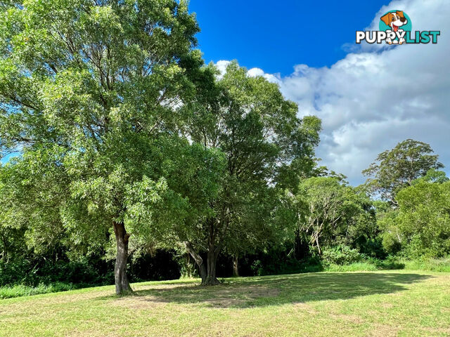 42 Equestrian Drive MAUDSLAND QLD 4210