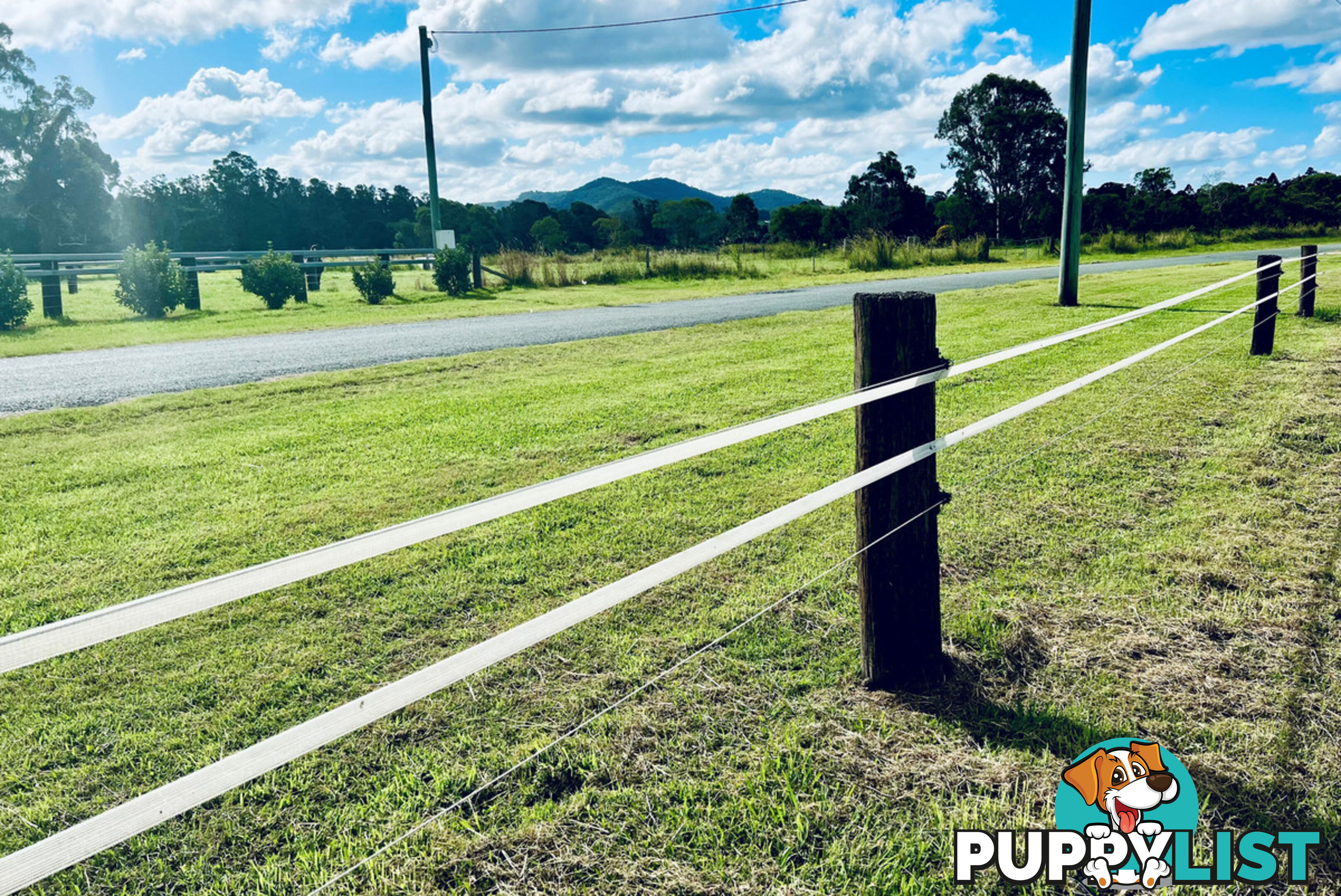 42 Equestrian Drive MAUDSLAND QLD 4210