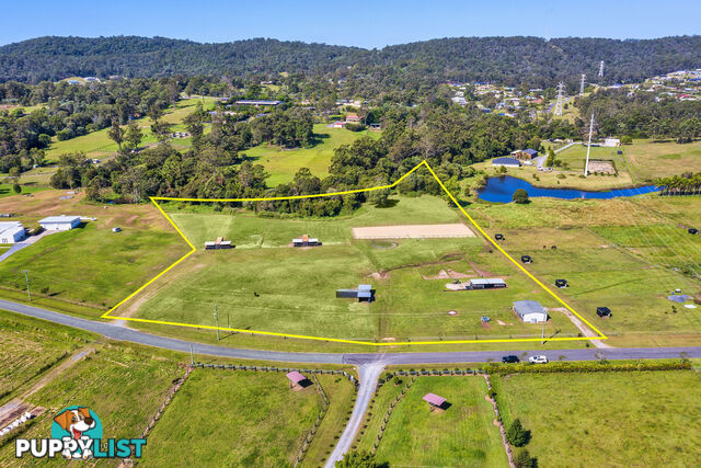 42 Equestrian Drive MAUDSLAND QLD 4210