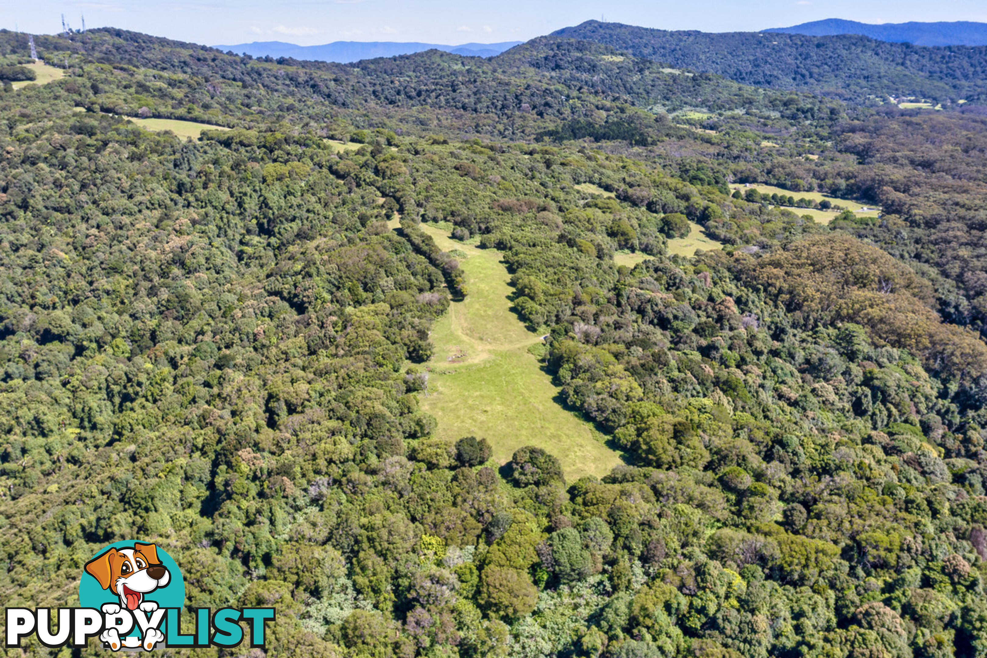 3000 Springbrook Road SPRINGBROOK QLD 4213