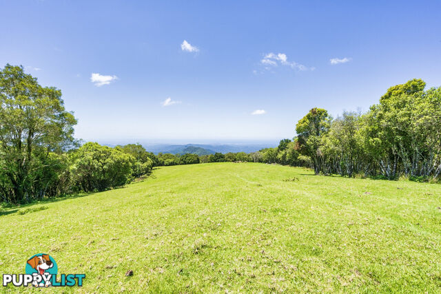 3000 Springbrook Road SPRINGBROOK QLD 4213