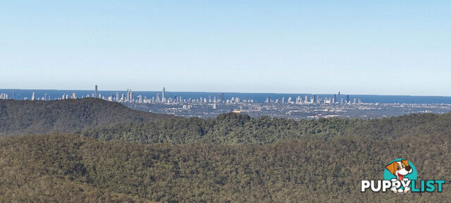 50 Macrozamia Drive CLAGIRABA QLD 4211
