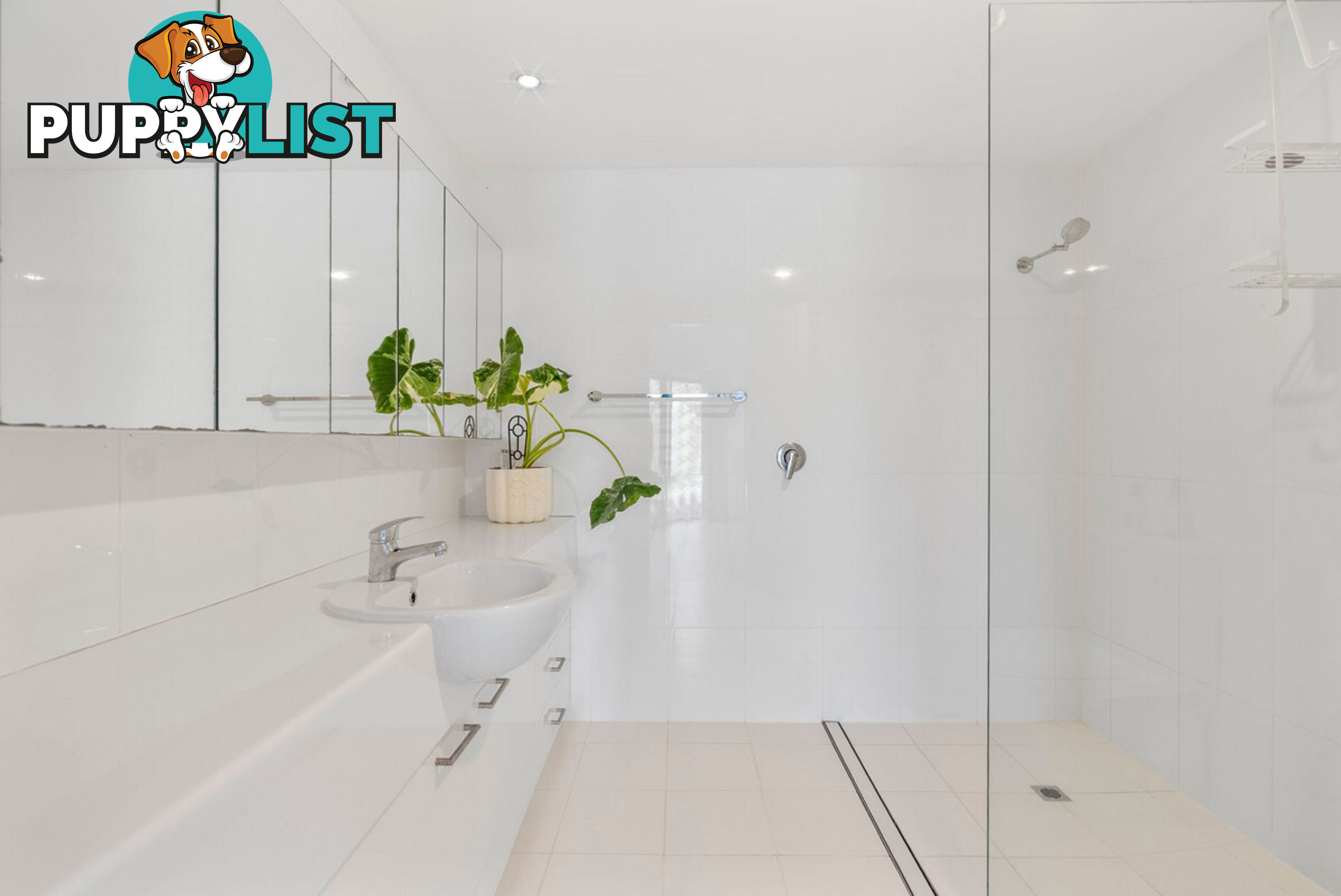 50 Macrozamia Drive CLAGIRABA QLD 4211