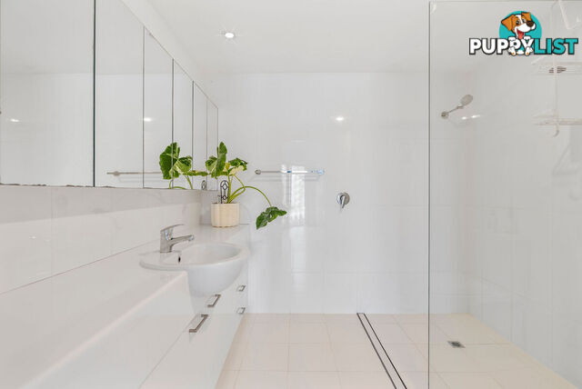 50 Macrozamia Drive CLAGIRABA QLD 4211