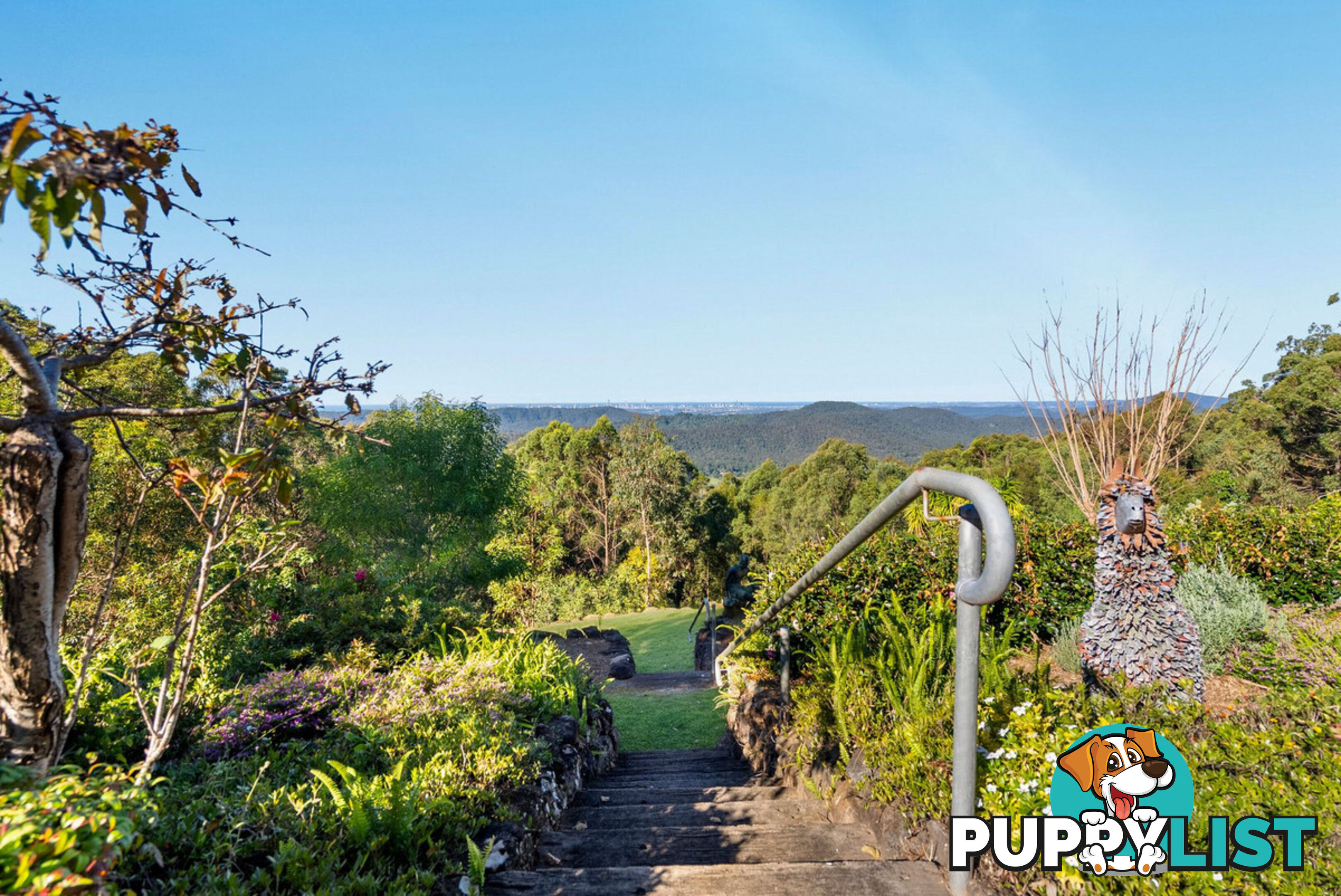 50 Macrozamia Drive CLAGIRABA QLD 4211